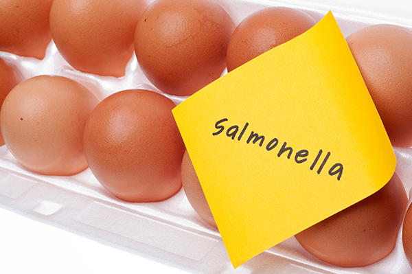 Salmonella en huevos